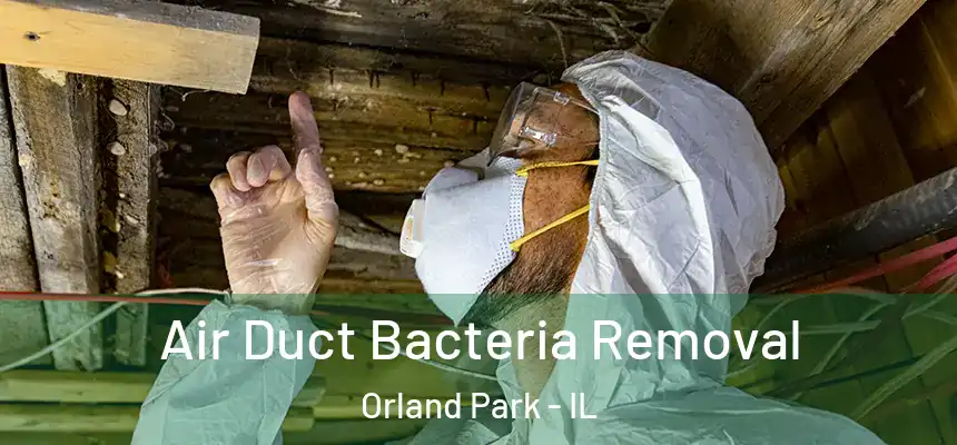  Air Duct Bacteria Removal Orland Park - IL