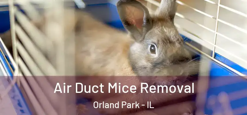 Air Duct Mice Removal Orland Park - IL