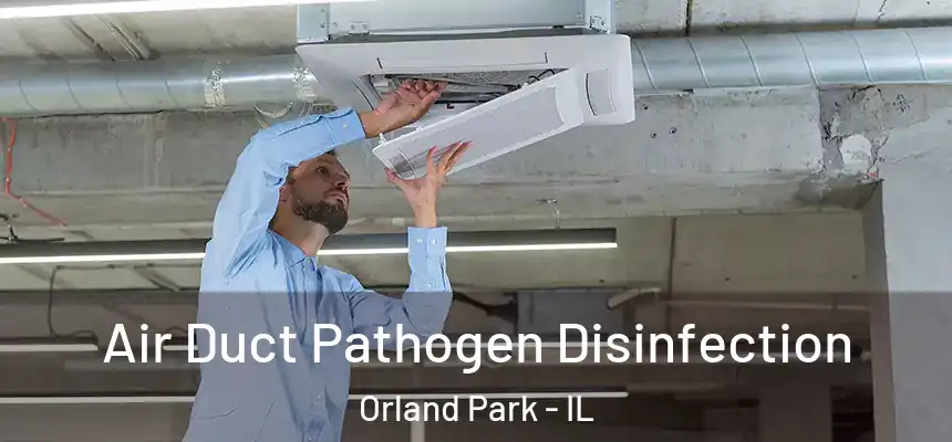  Air Duct Pathogen Disinfection Orland Park - IL