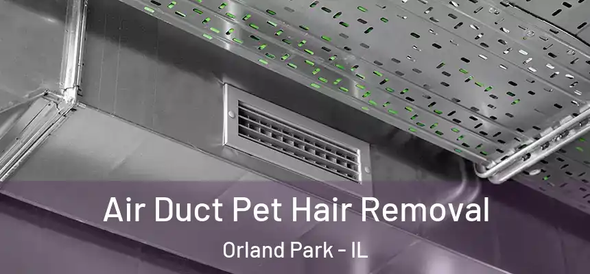 Air Duct Pet Hair Removal Orland Park - IL