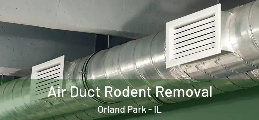 Air Duct Rodent Removal Orland Park - IL