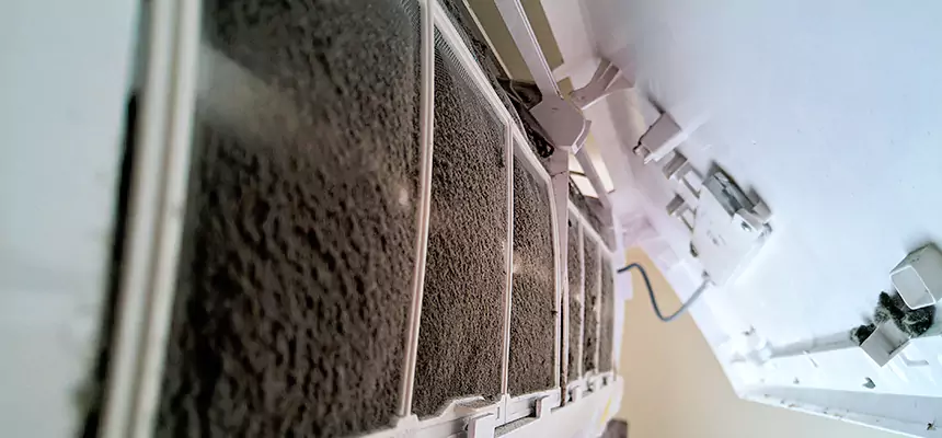 Preventive Air Duct Bacteria Removal in Orland Park