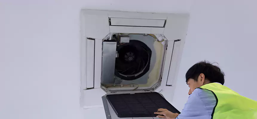 Our Dryer Vent Sanitization Service Services in Orland Park, IL