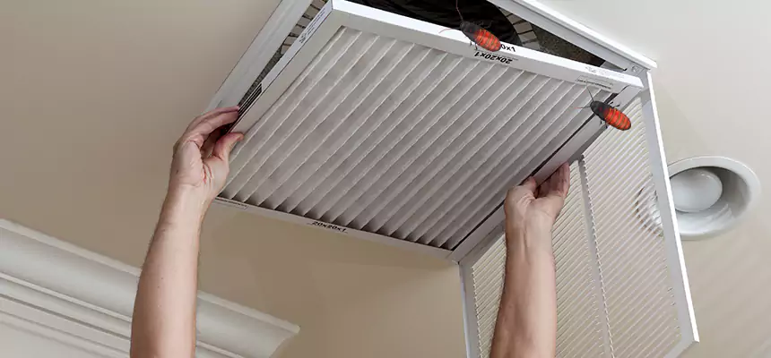 Our Insect Removal from Air Ducts Services in Orland Park, IL