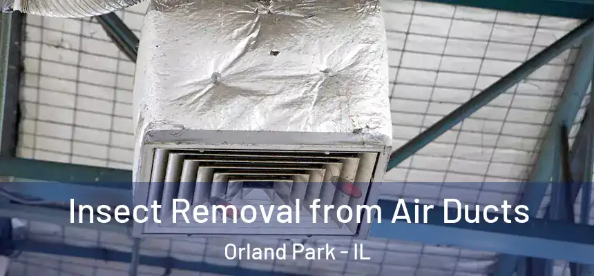 Insect Removal from Air Ducts Orland Park - IL