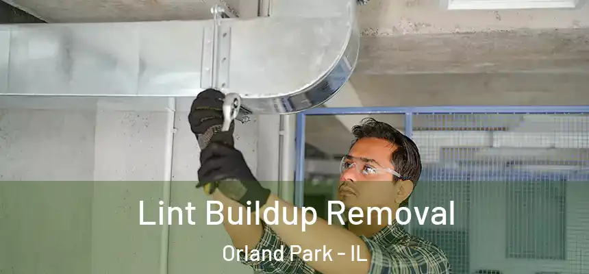  Lint Buildup Removal Orland Park - IL