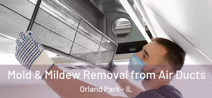 Mold & Mildew Removal from Air Ducts Orland Park - IL
