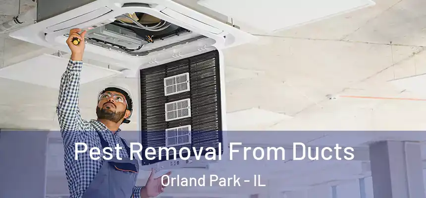  Pest Removal From Ducts Orland Park - IL