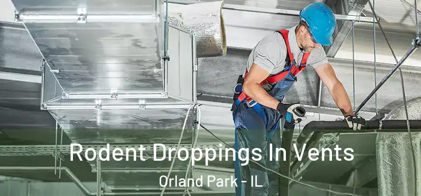 Rodent Droppings In Vents Orland Park - IL
