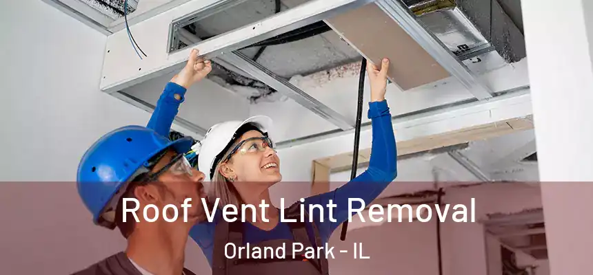 Roof Vent Lint Removal Orland Park - IL