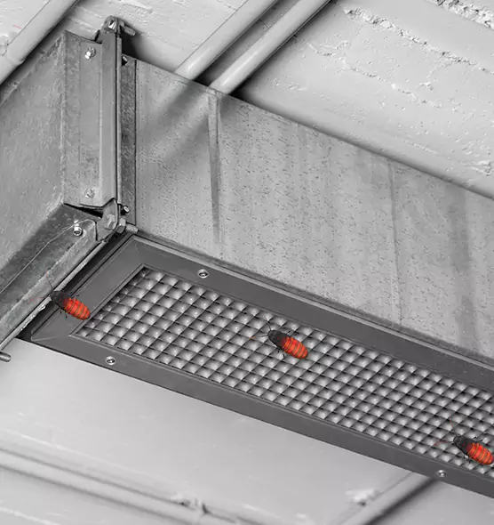 Affordable Insect Removal from Air Ducts in Orland Park, IL