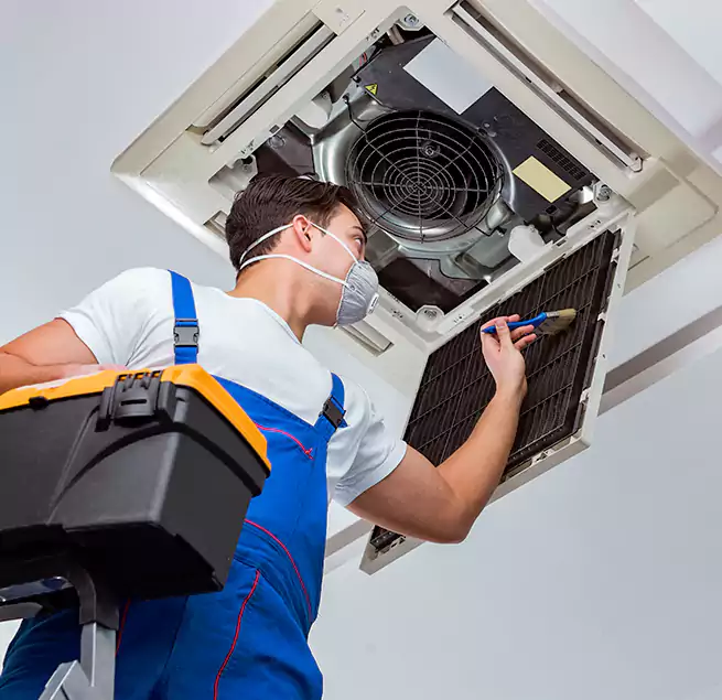 Why Homeowners & Businesses Trust Us in Orland Park, IL