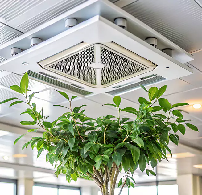 Why Homeowners & Businesses Trust Us in Orland Park, IL?