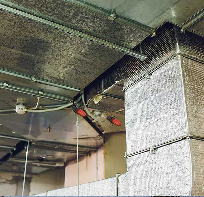 Why Homeowners & Businesses Trust Us Orland Park, IL?