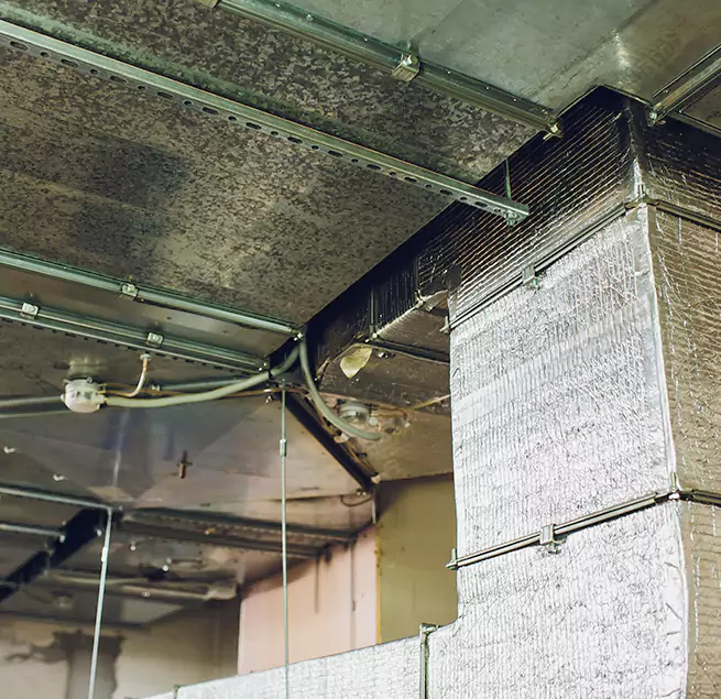 Why Homeowners & Businesses Trust Us in Orland Park, IL?