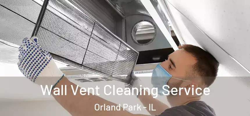 Wall Vent Cleaning Service Orland Park - IL